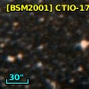[BSM2001] CTIO-173