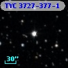 TYC 3727-377-1