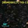[BSM2001] CTIO-1131