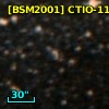 [BSM2001] CTIO-1153
