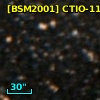 [BSM2001] CTIO-1162