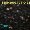 [BSM2001] CTIO-1174