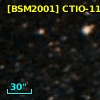 [BSM2001] CTIO-1176