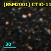 [BSM2001] CTIO-1177