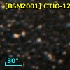[BSM2001] CTIO-1202