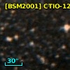 [BSM2001] CTIO-1209