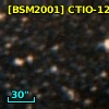 [BSM2001] CTIO-1210