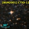 [BSM2001] CTIO-1215