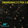 [BSM2001] CTIO-1217