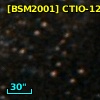 [BSM2001] CTIO-1227