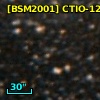 [BSM2001] CTIO-1233