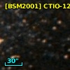 [BSM2001] CTIO-1239