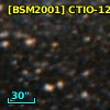 [BSM2001] CTIO-1245