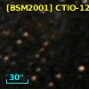 [BSM2001] CTIO-1247