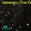 [BSM2001] CTIO-1252