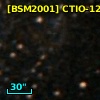 [BSM2001] CTIO-1262