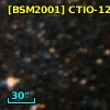 [BSM2001] CTIO-1265