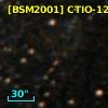 [BSM2001] CTIO-1266