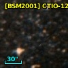 [BSM2001] CTIO-1267