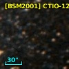 [BSM2001] CTIO-1268