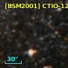 [BSM2001] CTIO-1270