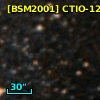 [BSM2001] CTIO-1292