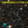 [BSM2001] CTIO-1296