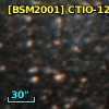 [BSM2001] CTIO-1298