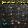 [BSM2001] CTIO-1313