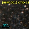 [BSM2001] CTIO-1315