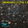[BSM2001] CTIO-1316