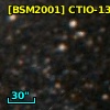 [BSM2001] CTIO-1317