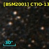 [BSM2001] CTIO-1325