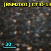 [BSM2001] CTIO-1337