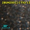 [BSM2001] CTIO-1373