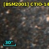 [BSM2001] CTIO-1417