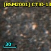[BSM2001] CTIO-1438
