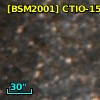 [BSM2001] CTIO-1506