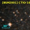 [BSM2001] CTIO-1607