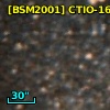 [BSM2001] CTIO-1608