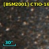 [BSM2001] CTIO-1612