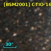 [BSM2001] CTIO-1629
