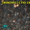 [BSM2001] CTIO-1638