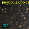 [BSM2001] CTIO-1676