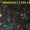 [BSM2001] CTIO-1687