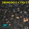 [BSM2001] CTIO-1719