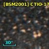 [BSM2001] CTIO-1724