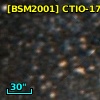 [BSM2001] CTIO-1736