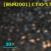 [BSM2001] CTIO-1755