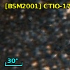 [BSM2001] CTIO-1785